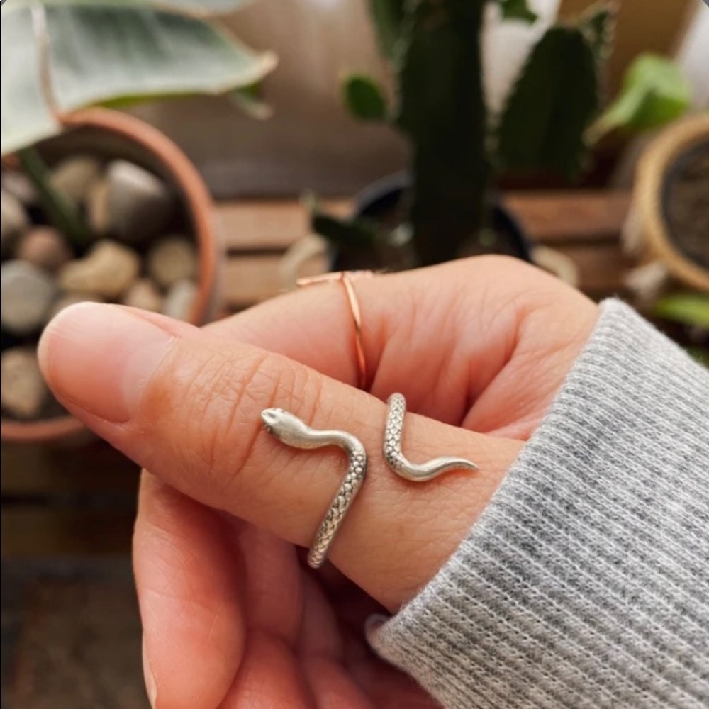 Silver Snake Ring